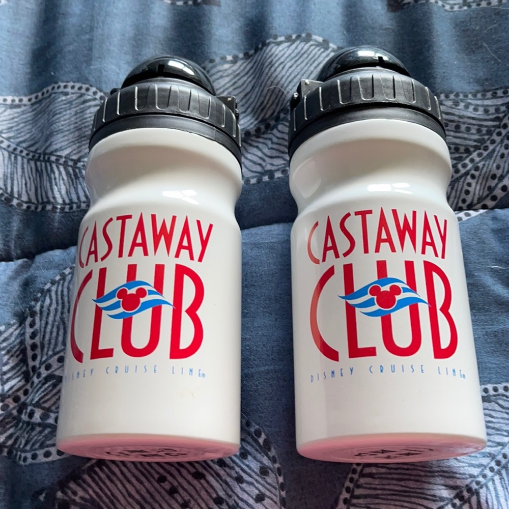 Disney Cruise Line Castaway Club new insulated steel cups
